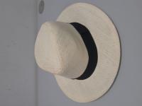 CS384/2024 STRAW HAT
